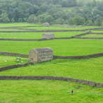 Gunnerside Bottoms, Swaledale